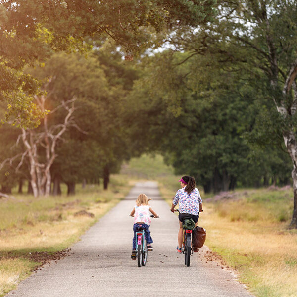 cycling-veluwe-1