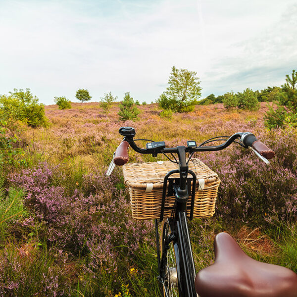 cycling-veluwe-2