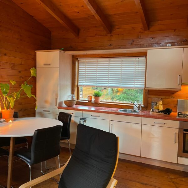 WhatsApp Image 2022-01-31 at 3.58.09 PM (1)