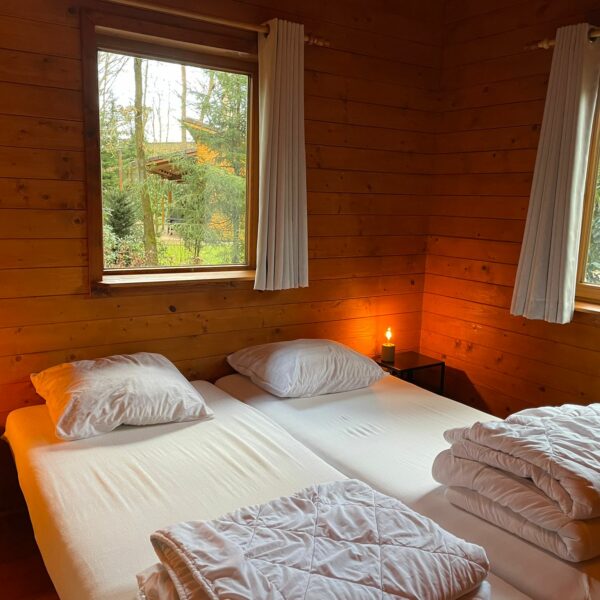 WhatsApp Image 2022-01-31 at 3.58.09 PM (3)