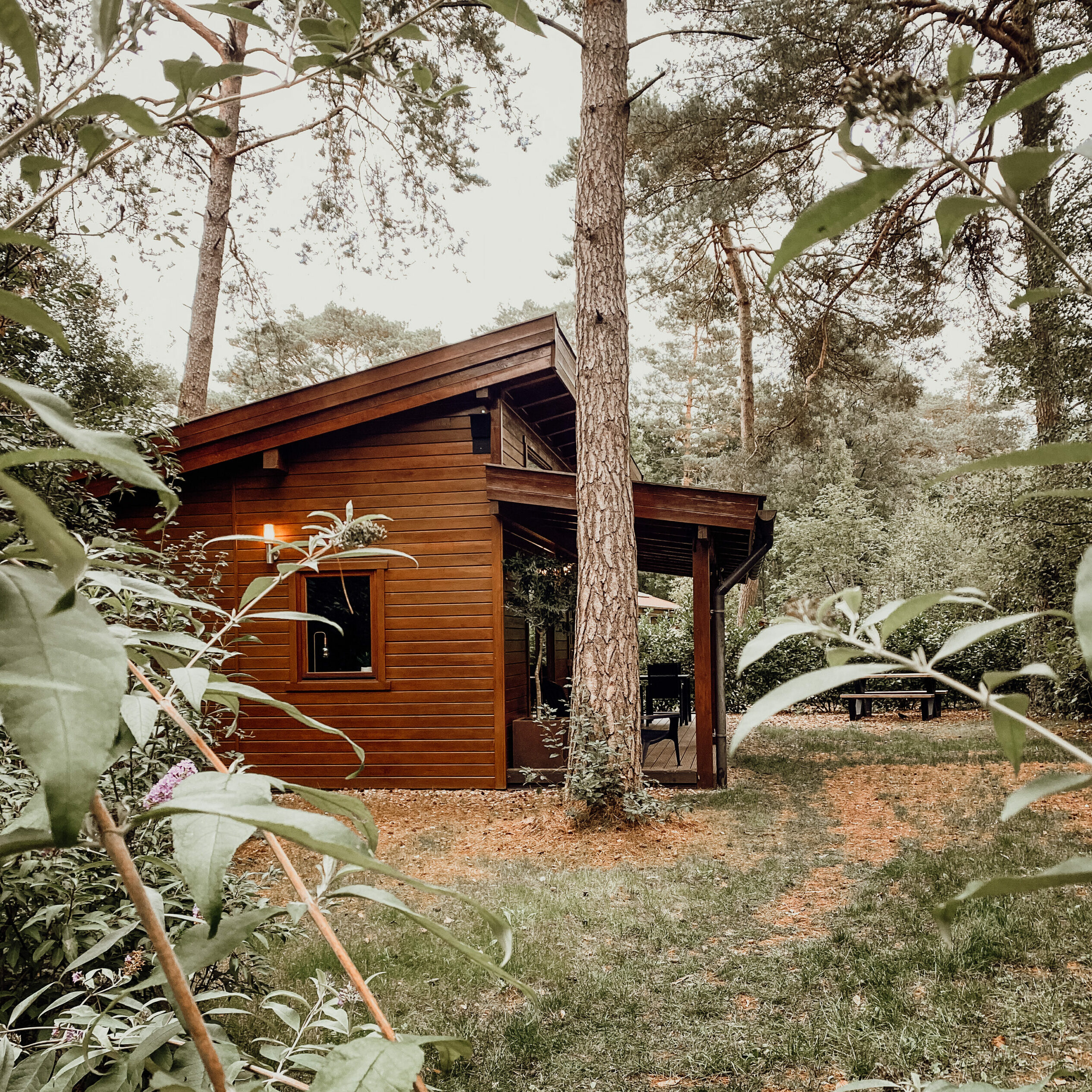 45A8441C-87E2-44E0-BD41-4E0BB886C38F